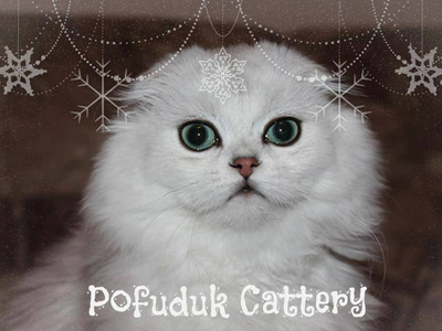 Amelie Von Baden-Württemberg